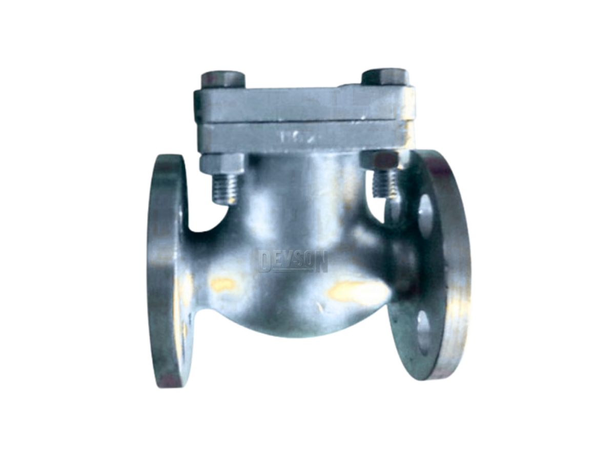 Lift Type Non-Return Valve