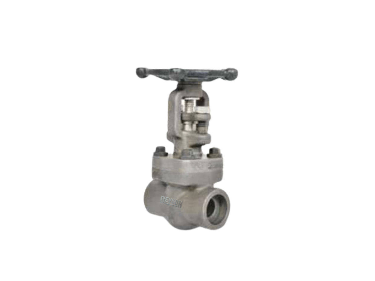Globe Valve Screw END / Socket Weld END 800#